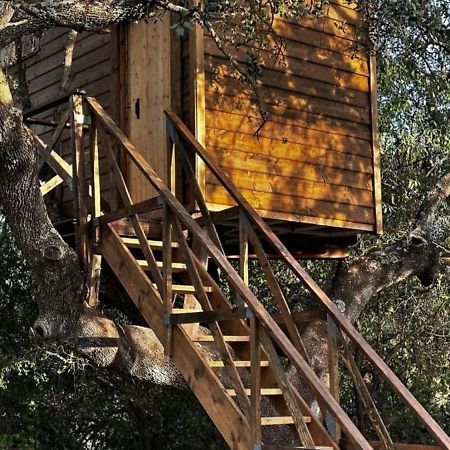 Cabana Del Arbol Lavagarural Villanueva del Rosario Εξωτερικό φωτογραφία