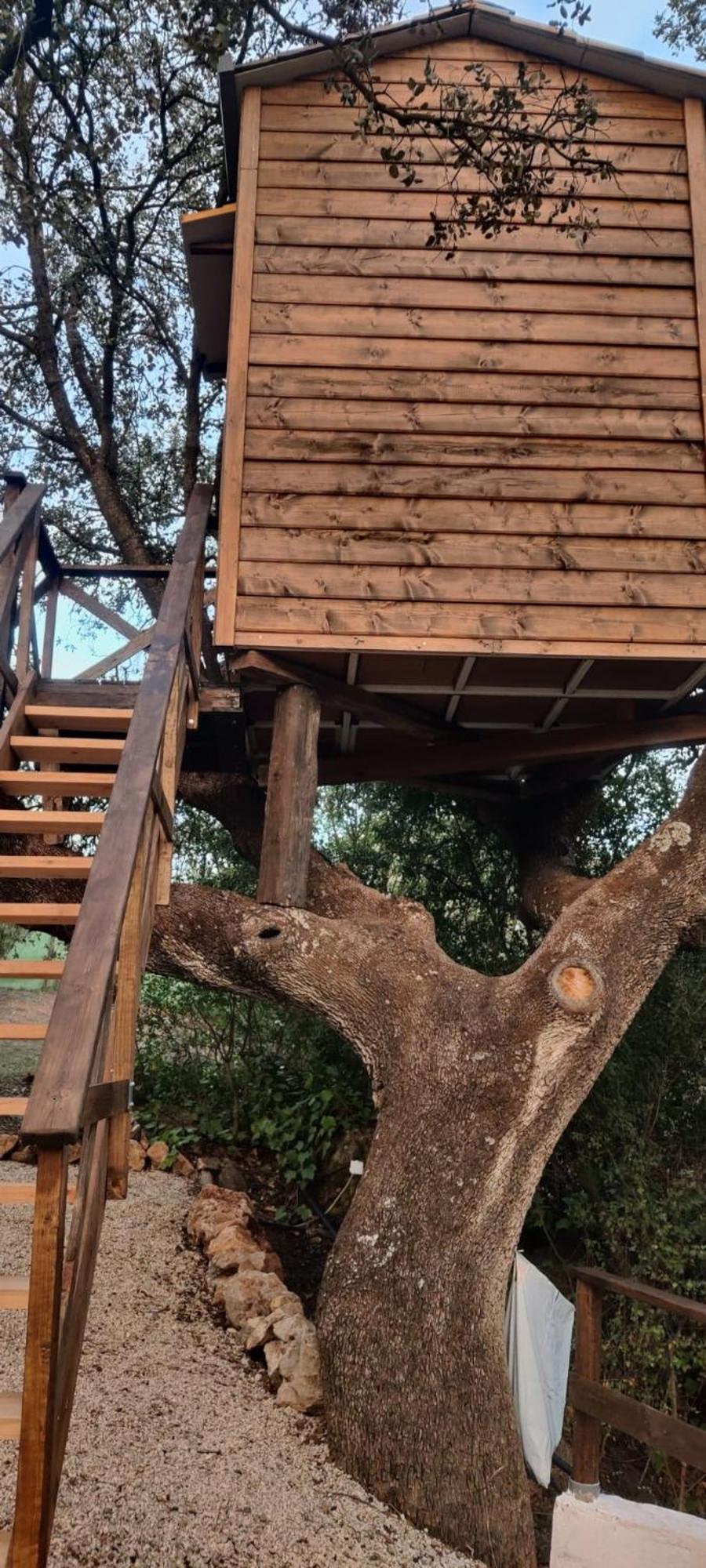 Cabana Del Arbol Lavagarural Villanueva del Rosario Εξωτερικό φωτογραφία
